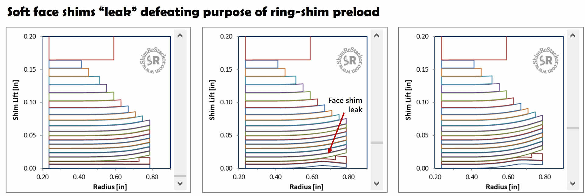 Ring shim leak